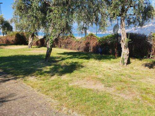 Camping Antonio