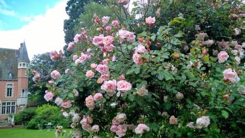 Bed & Breakfast Ch�teau De La Vern�de