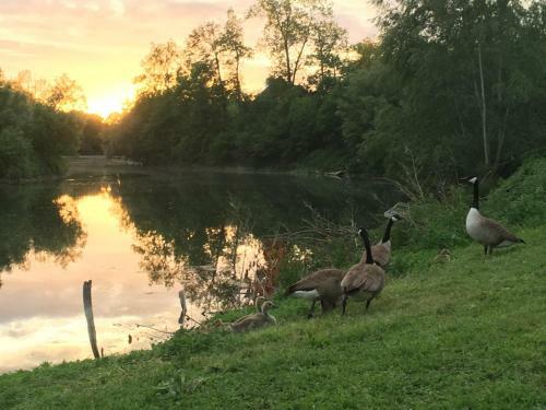 Bed & Breakfast En Bord De Seine