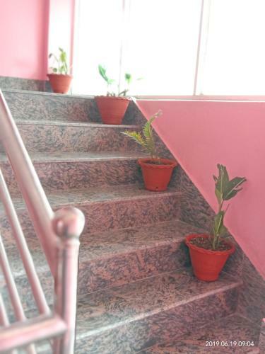 Hotel Aarjan
