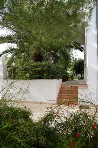 Hostal Sunny Garden Studio