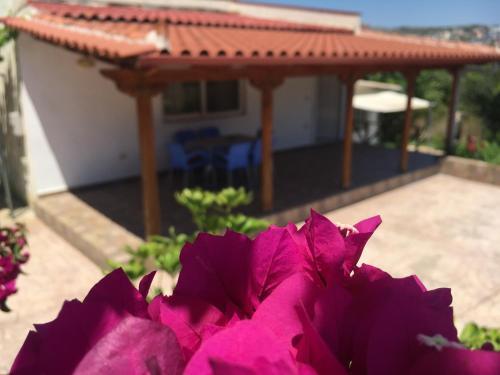 Apartamento Guesthouse Nedin