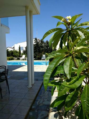Mylos 2 Bedroom Villa (sleeps 5) With Private Pool