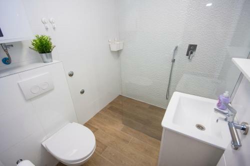 Apartmani Luka