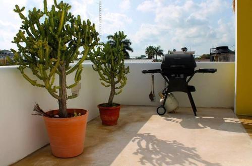 Hostal Coral Reef Inn