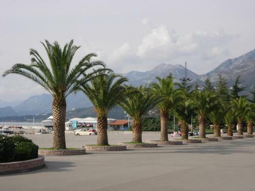 Hostal Rooms & Apartments Anka