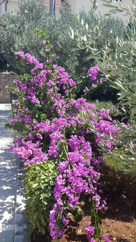 Apartamento Villa Fontana