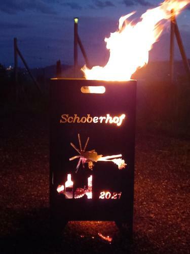 Apartamento Appartement Weingut Schoberhof