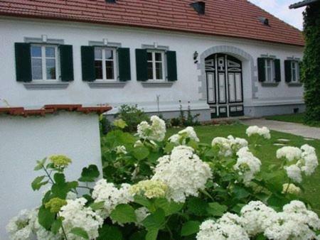 Hostal Arkadenhof Kurtz