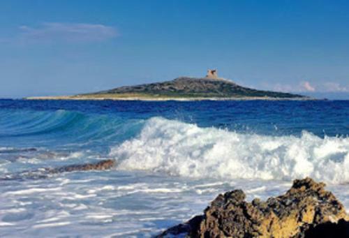 Apartamento Appartamento 60 Mq A 800 Mt Dalla Spiaggia