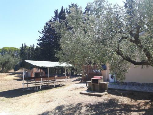 Agroturismo Casetta Olga