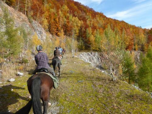 Agroturismo Sza?as Muflon - Mufflonh�tte
