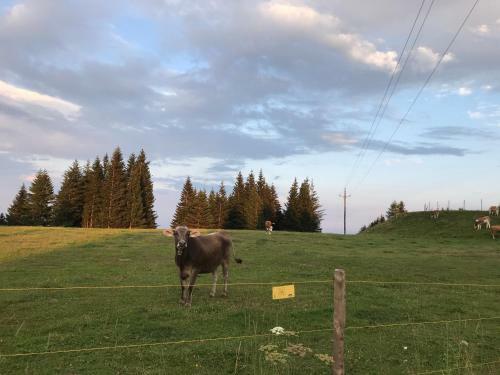 Apartamento Stubalm Appartements