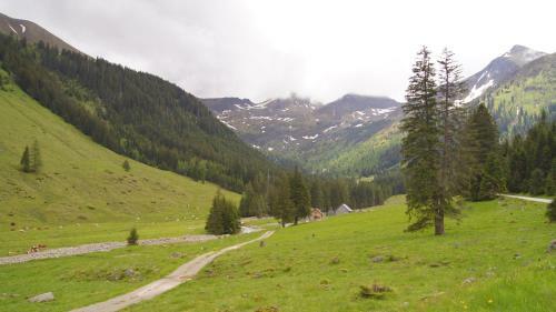 Alpine Chalet - H�ttfeldalm - Almh�tte - Panoramablick