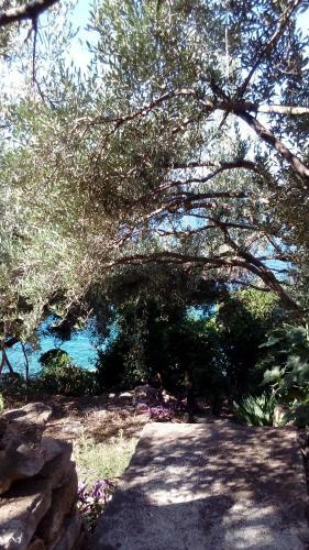 Holiday Home Prizba