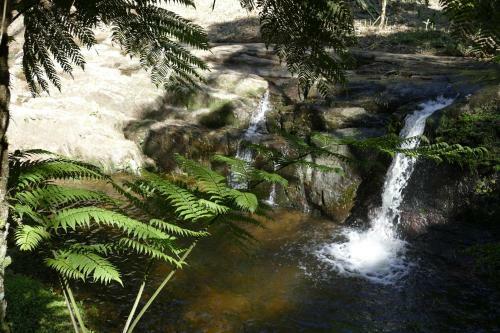 Posada Pousada Ecol�gica Itoror�