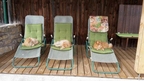 Bed & Breakfast Ferienhof Stanzl