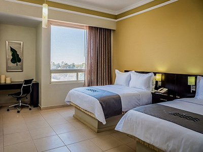 Hotel Gamma By Fiesta Inn Leon