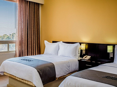 Hotel Gamma By Fiesta Inn Leon