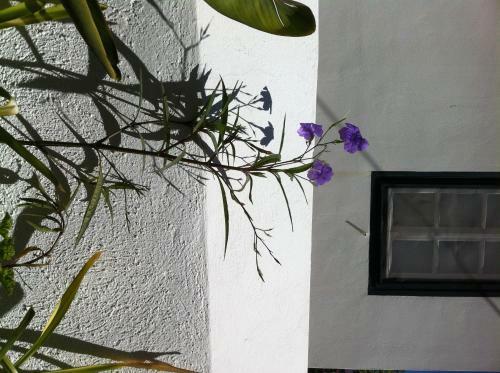 Apartamento Guesthouse Niriides
