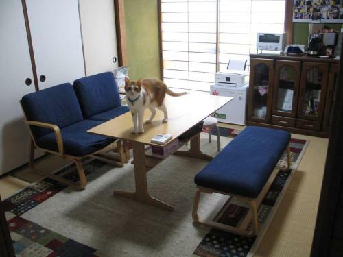Hostal Guesthouse Katchete - Vacation Stay 12727