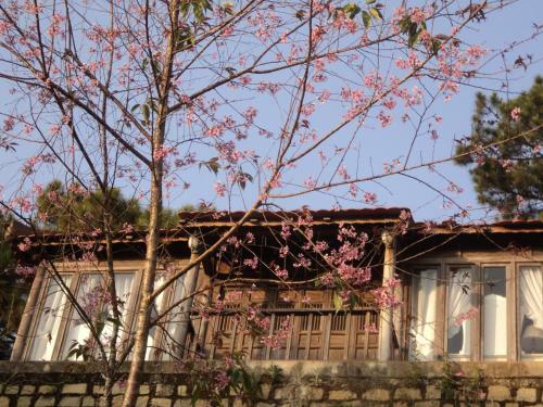 Hotel Osaka Village Dalat