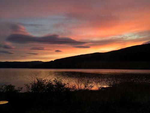 Seal Point Cabin - Luxury Glamping