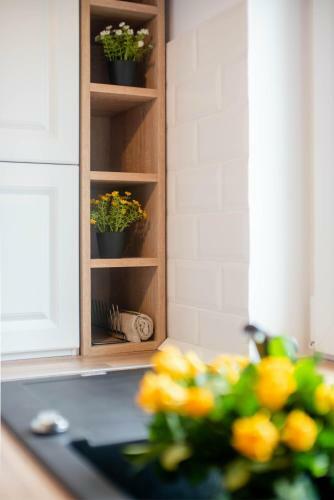 Apartamento Cozy Little Place