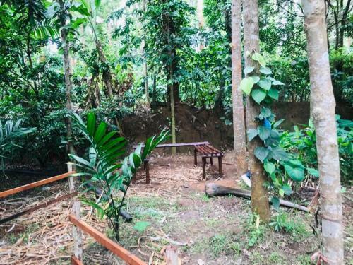 Livin Hub Homestay