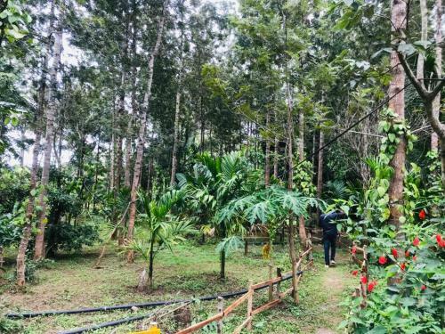 Livin Hub Homestay