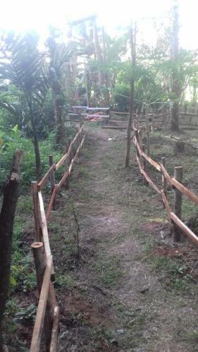 Livin Hub Homestay