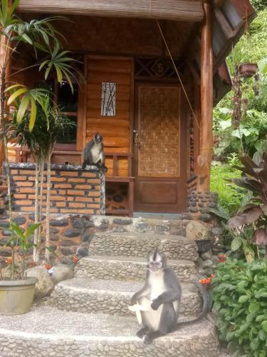 Agroturismo Lucky Bamboo