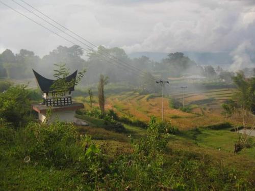 Agroturismo Lucky Bamboo