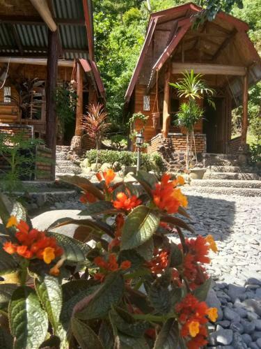 Agroturismo Lucky Bamboo