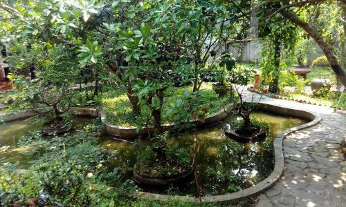 Hostal Tam Tinh Vien Homestay