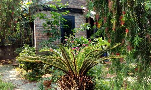Hostal Tam Tinh Vien Homestay