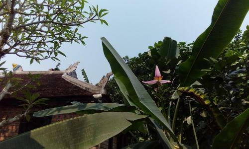 Hostal Tam Tinh Vien Homestay