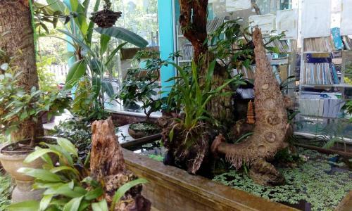 Hostal Tam Tinh Vien Homestay