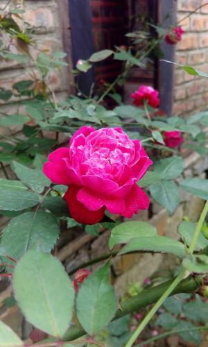 Hostal Tam Tinh Vien Homestay