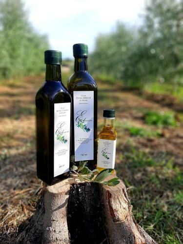 Apartamento L'olivo Casa Del Nonno Bingheri