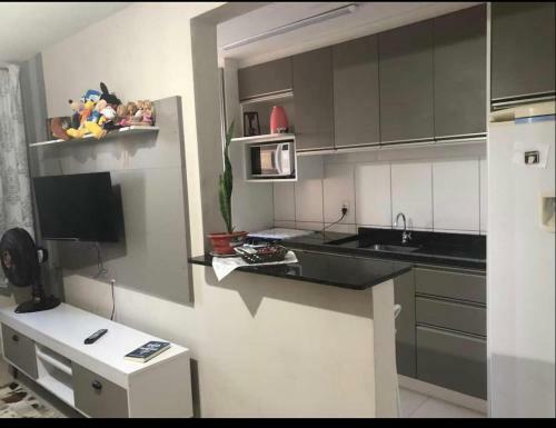 Apartamento Apto No Cora��o Do Jd. Carvalho