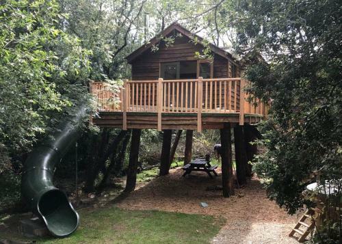 Hotel Florence Springs Glamping