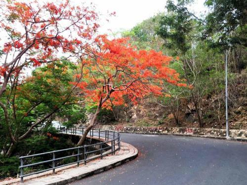 Seika Hotel 68 V� Th? S�u