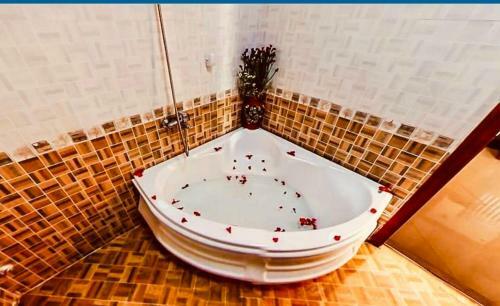 Seika Hotel 68 V� Th? S�u