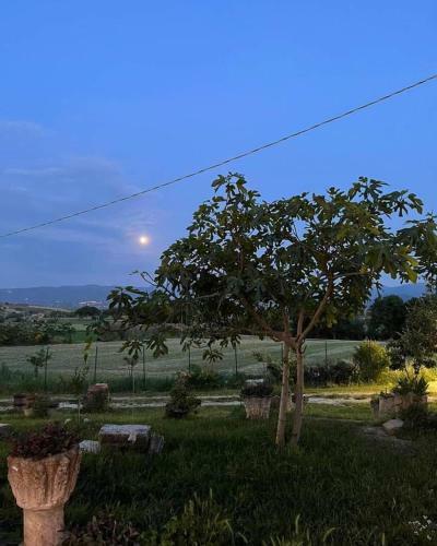 Agroturismo Agriturismo Madre Terra