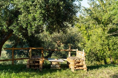 Apartamento U Saccataro Casa Vacanze