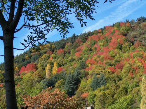 Hotel G�te De Chapel�che Les Glycines