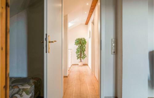 Nice Home In Nideggen With Wifi And 3 Bedrooms