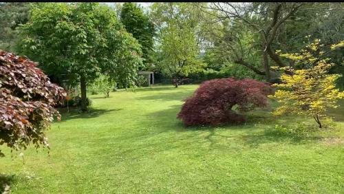 The Uhu Garden