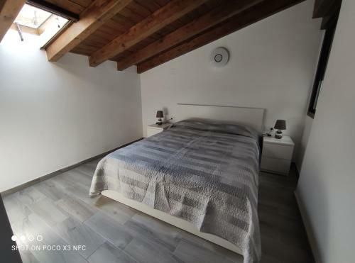 Apartamentos Patas Y Patetas